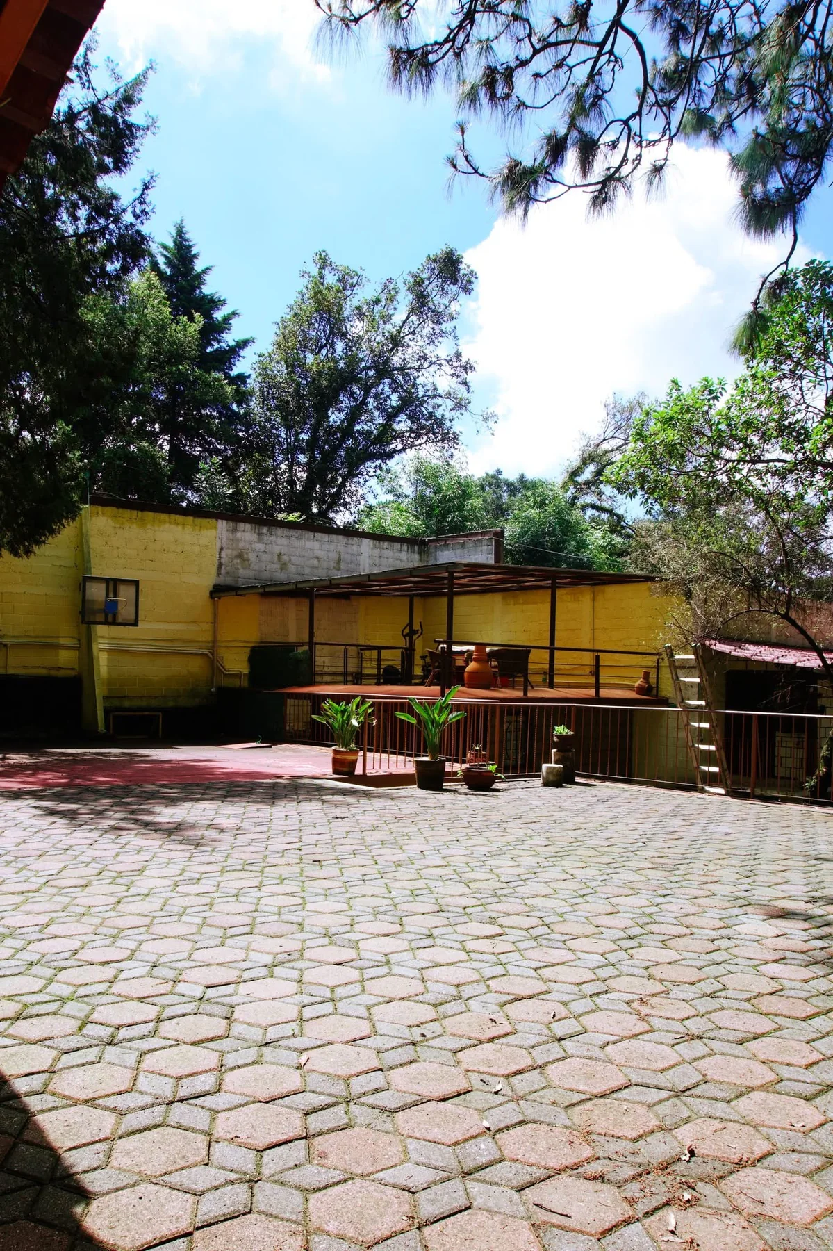 Patio amplio empedrado rodeado de árboles
